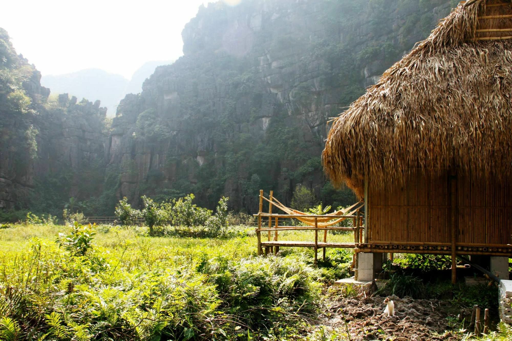 Nguyen Shack - Ninh Binh Apartment Exterior foto